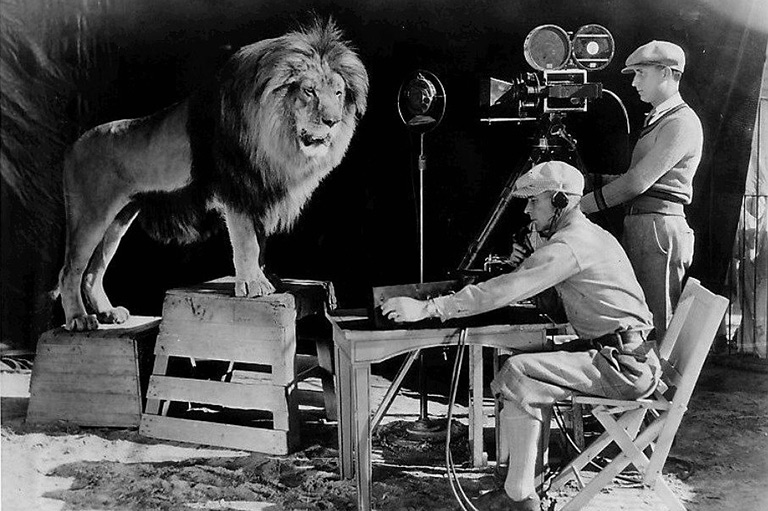 A lion stands on a box looking at a camera, there are two camera men. 