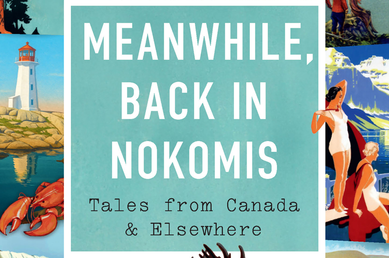 Book cover of Meanwhile, Back in Nokomis