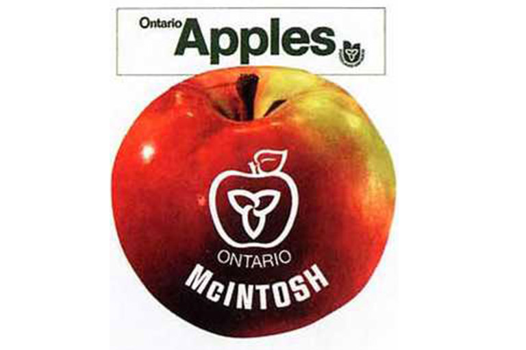 Canada's apple: The legendary McIntosh is set to disappear