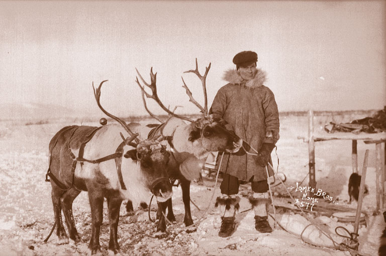 Sepia filtered photo: In full winter attire, Laplander Andrew Bahr poses with two reindeer at his side at a reindeer fair held in January 1915 at Igloo, Alaska.