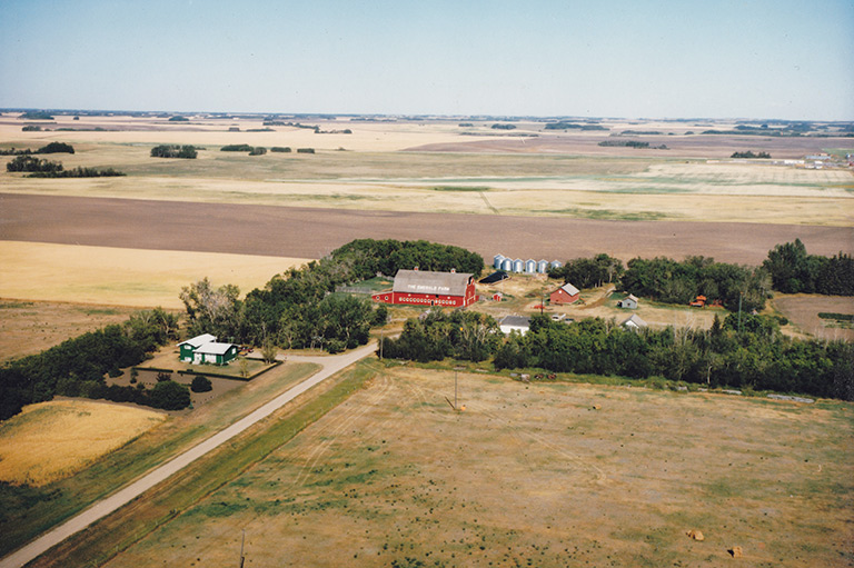 The Brehon family farm in Saskatchewan