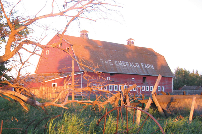 Bare branches frame the Emerald Farm's traditional red barn.