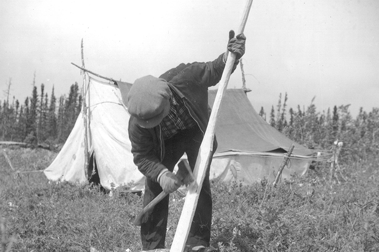 Alfred Mitchell of the Cree settlement of Fort Severn, Ontario, makes a paddle from a spruce tree in July 1955. The paddles were made extra long for poling up rapids or in shallows.