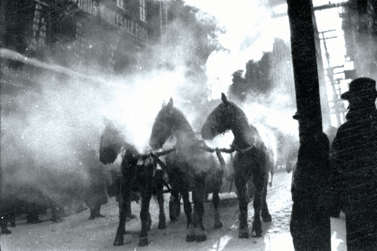 The Fire Horses - Canada's History